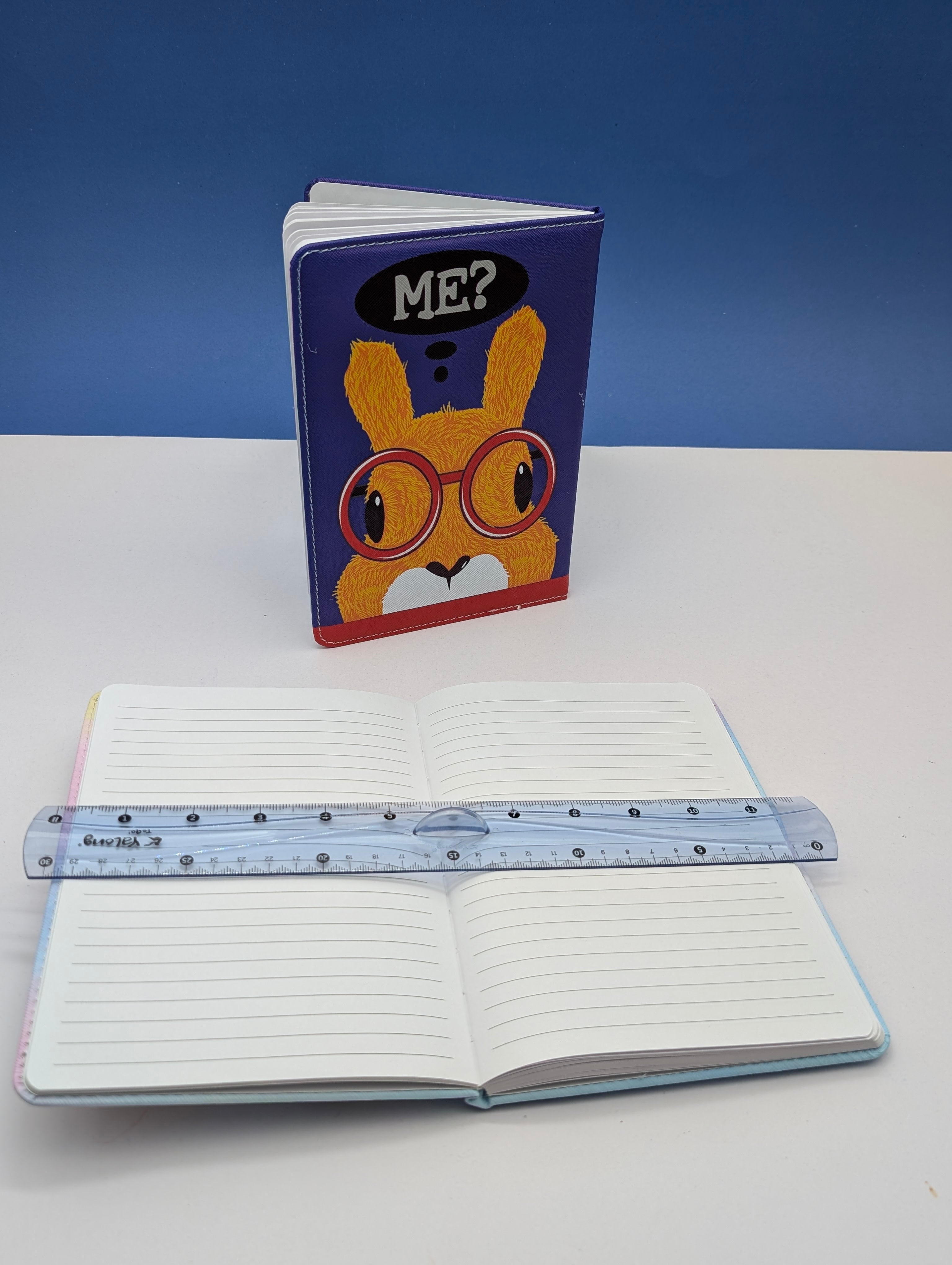 BEAR & RABBIT BEAUTIFUL  NOTE BOOK