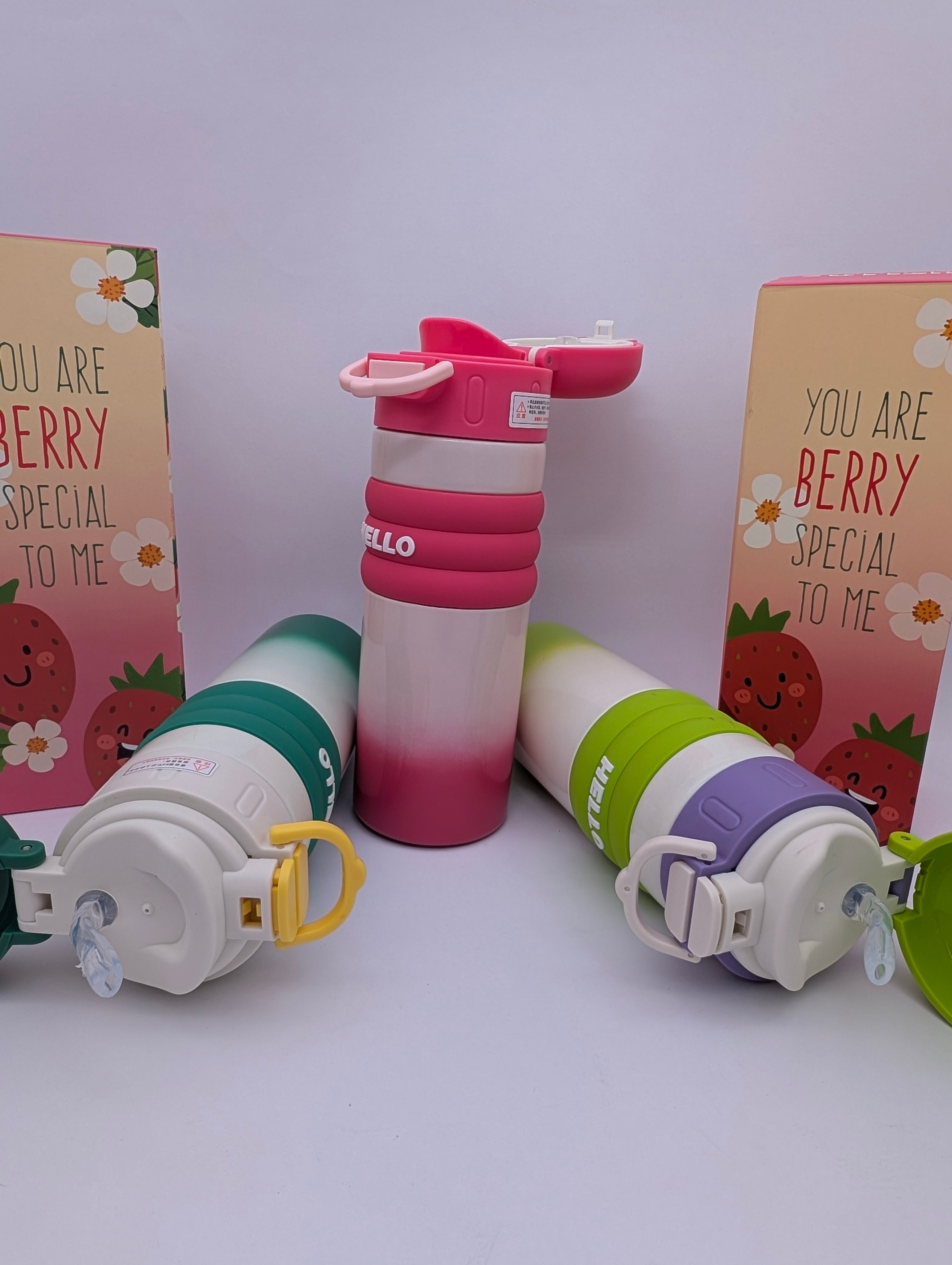 BERRY SPECIAL VACUUM FLASK TUMBLERS